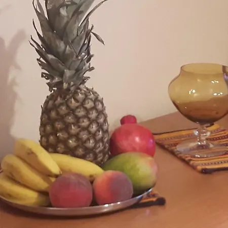 Apartament Motylek Łódź