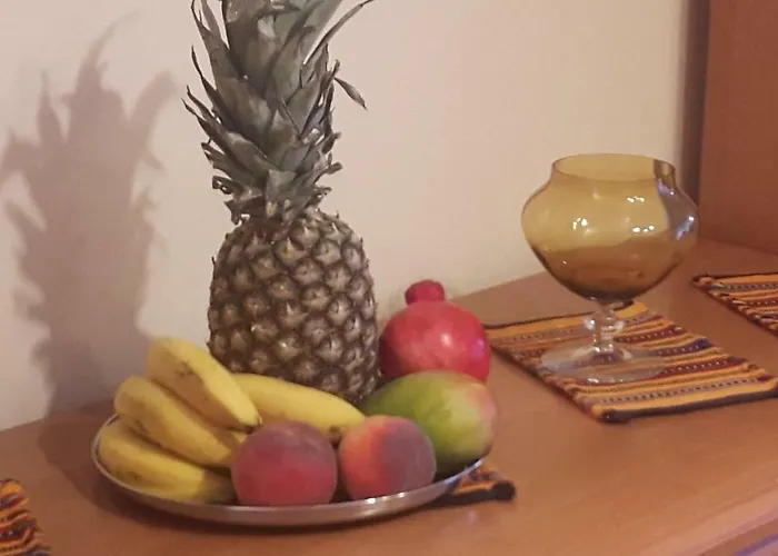 Lejlighed Motylek Łódź